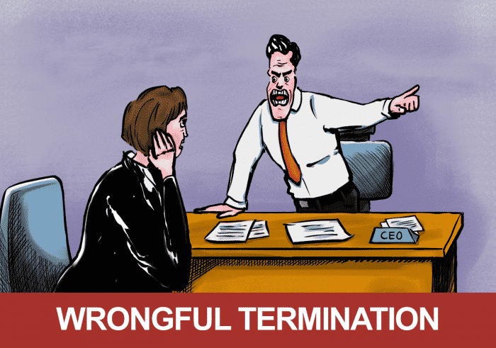 WHAT AN EMPLOYEE MUST PROVE IN A CASE OF WRONGFUL DISMISSAL FROM EMPLOYMENT